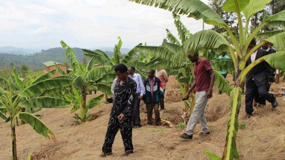Burundi - Landbrugsaktiviteter