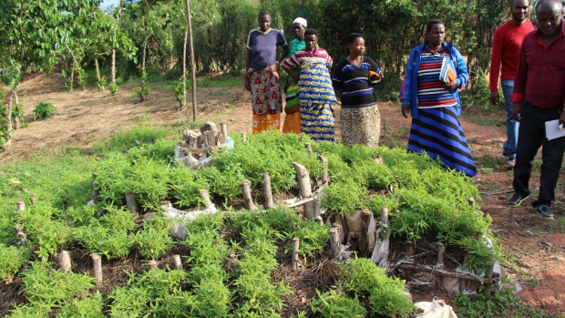 Nyt projekt i Burundi